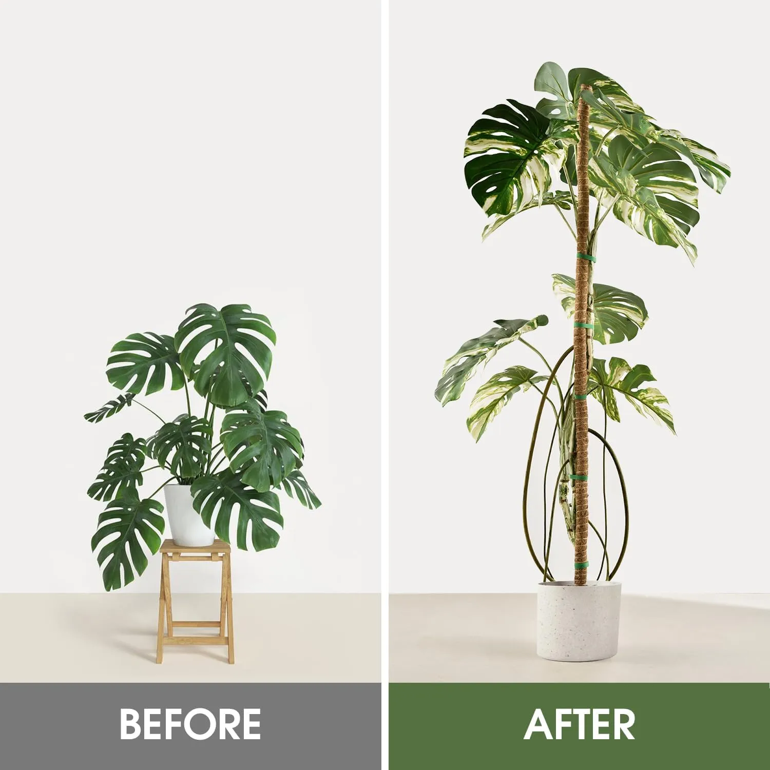 4 Pack Moss Pole 63 Inch Monstera Plant Support Moss Poles Bendable for Climbing Plants Longer Coco Coir Sticks Support Stakes Tall for Indoor Creeper DIY Shape Plants Grow Upwards