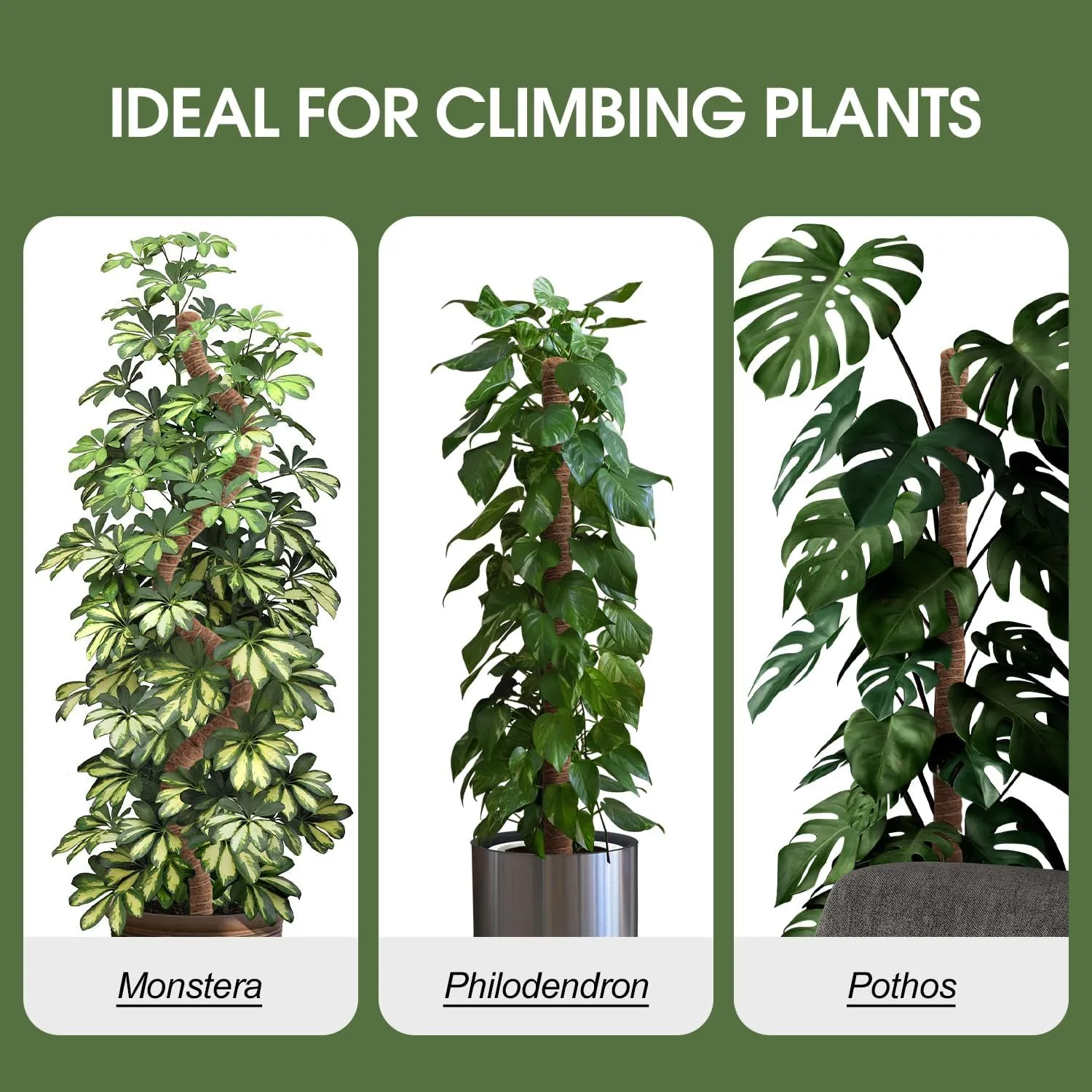 4 Pack Moss Pole 63 Inch Monstera Plant Support Moss Poles Bendable for Climbing Plants Longer Coco Coir Sticks Support Stakes Tall for Indoor Creeper DIY Shape Plants Grow Upwards