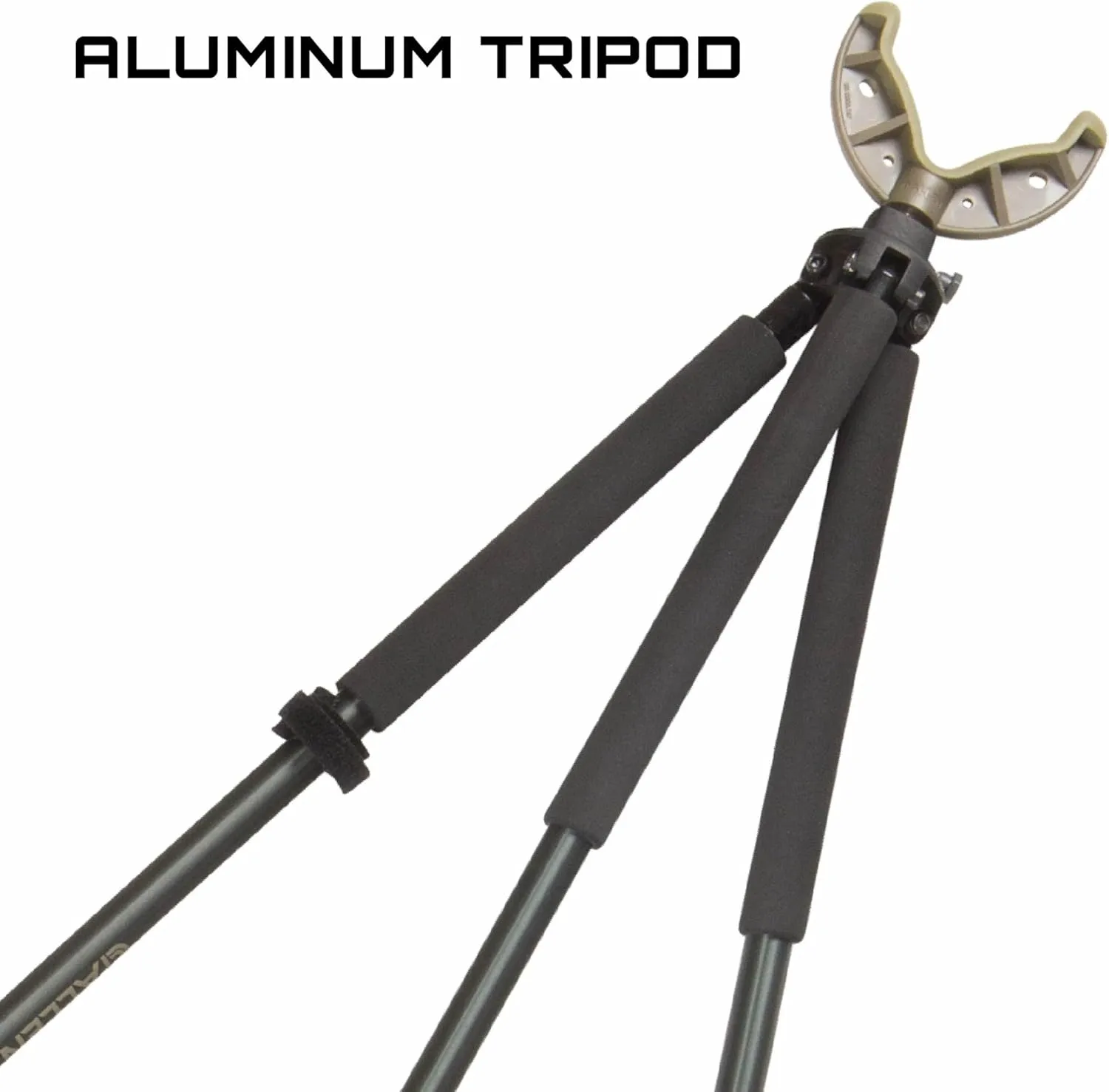 Allen CompanyAxial