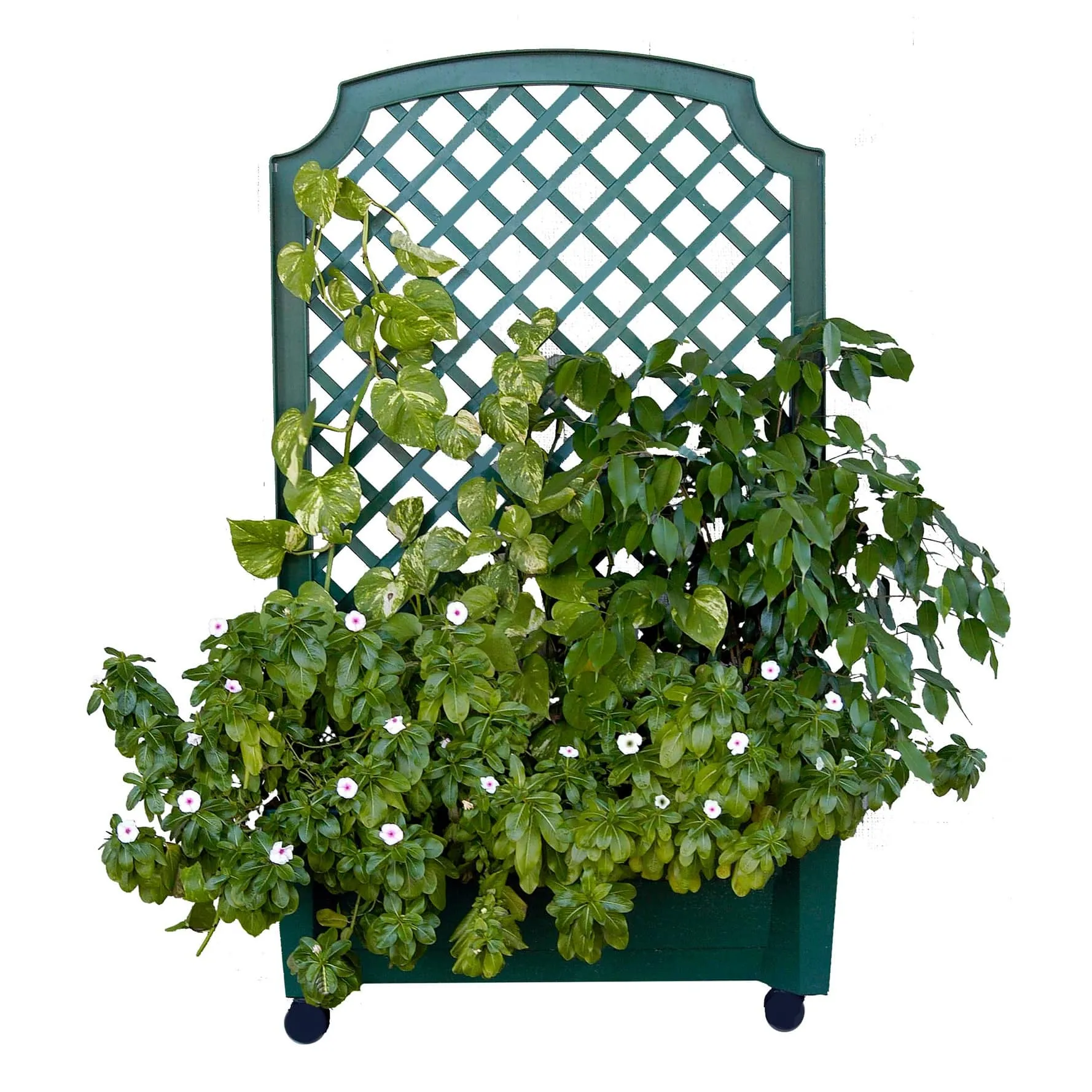 Calypso Planter Trellis Green