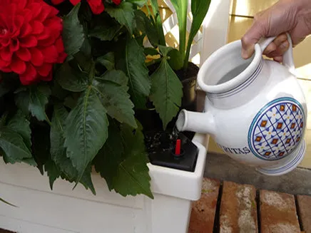 Calypso™ Planter with Trellis and Water Reservoir