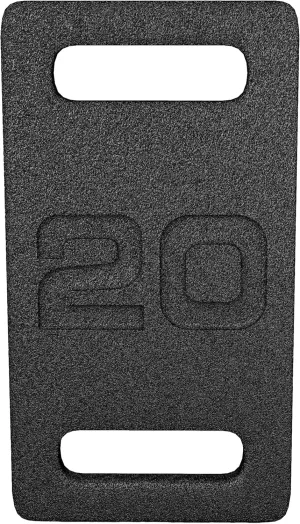 Cast Iron Plate, Weighted Plate for Swings, Squat, Strength Training, Fitness Workout, and Home Exercises, 20-Pound