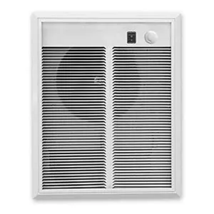 Dimplex EWA40C21 Heater Assembly/Wall Can/Grill/Stat, Almond
