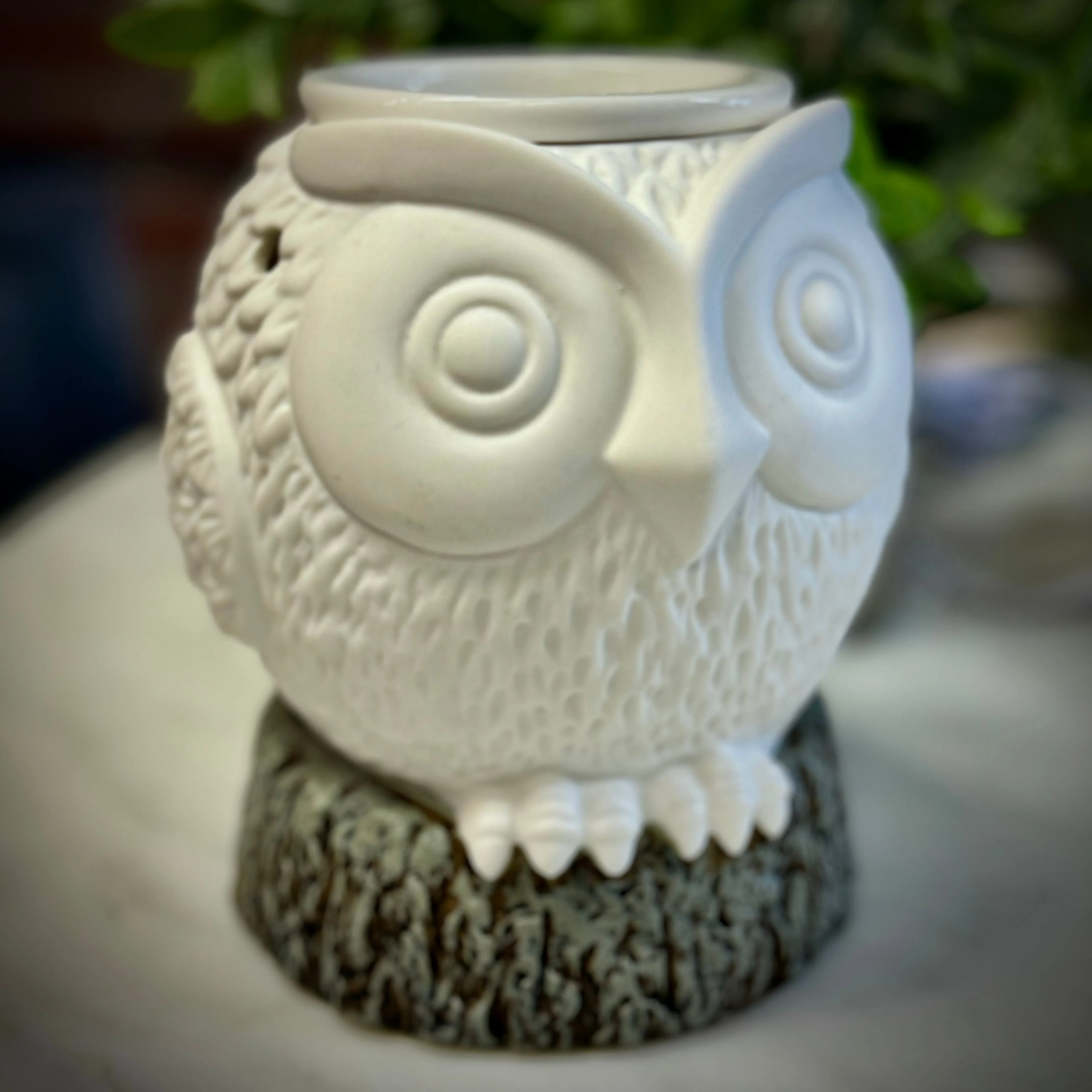 Electric Wax Melter: Ceramic Owl