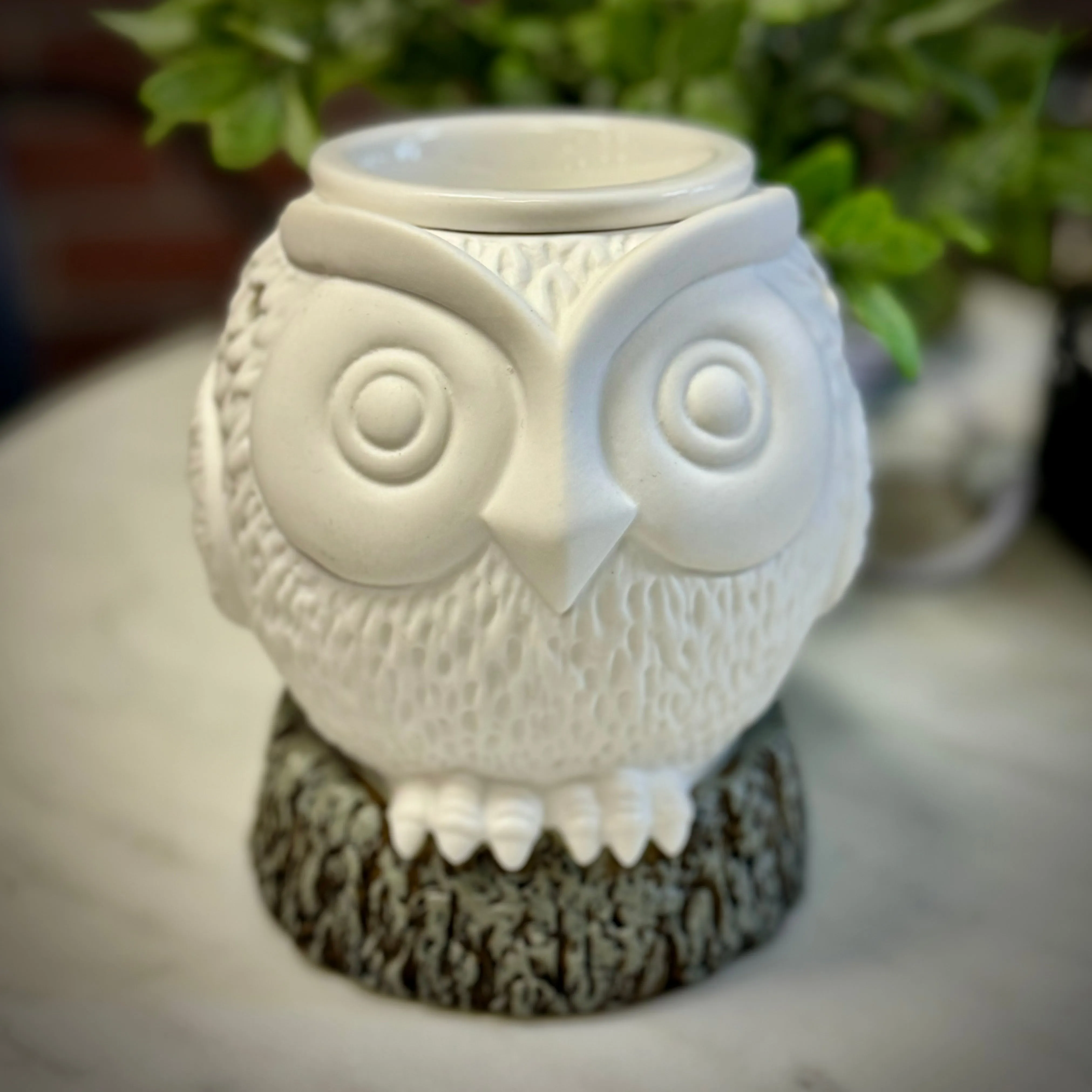 Electric Wax Melter: Ceramic Owl