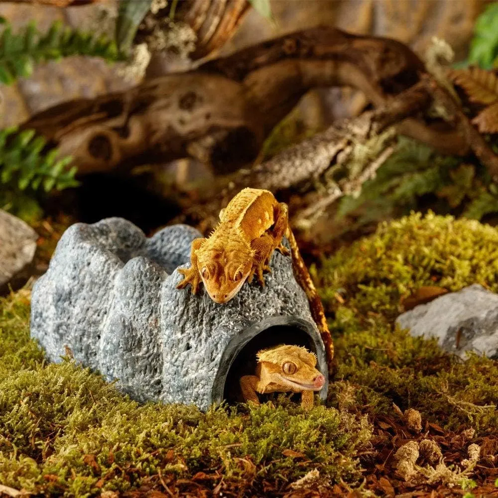 Exo Terra Wet Rock Moisture Retaining Ceramic Reptile Cave,Grey,Large