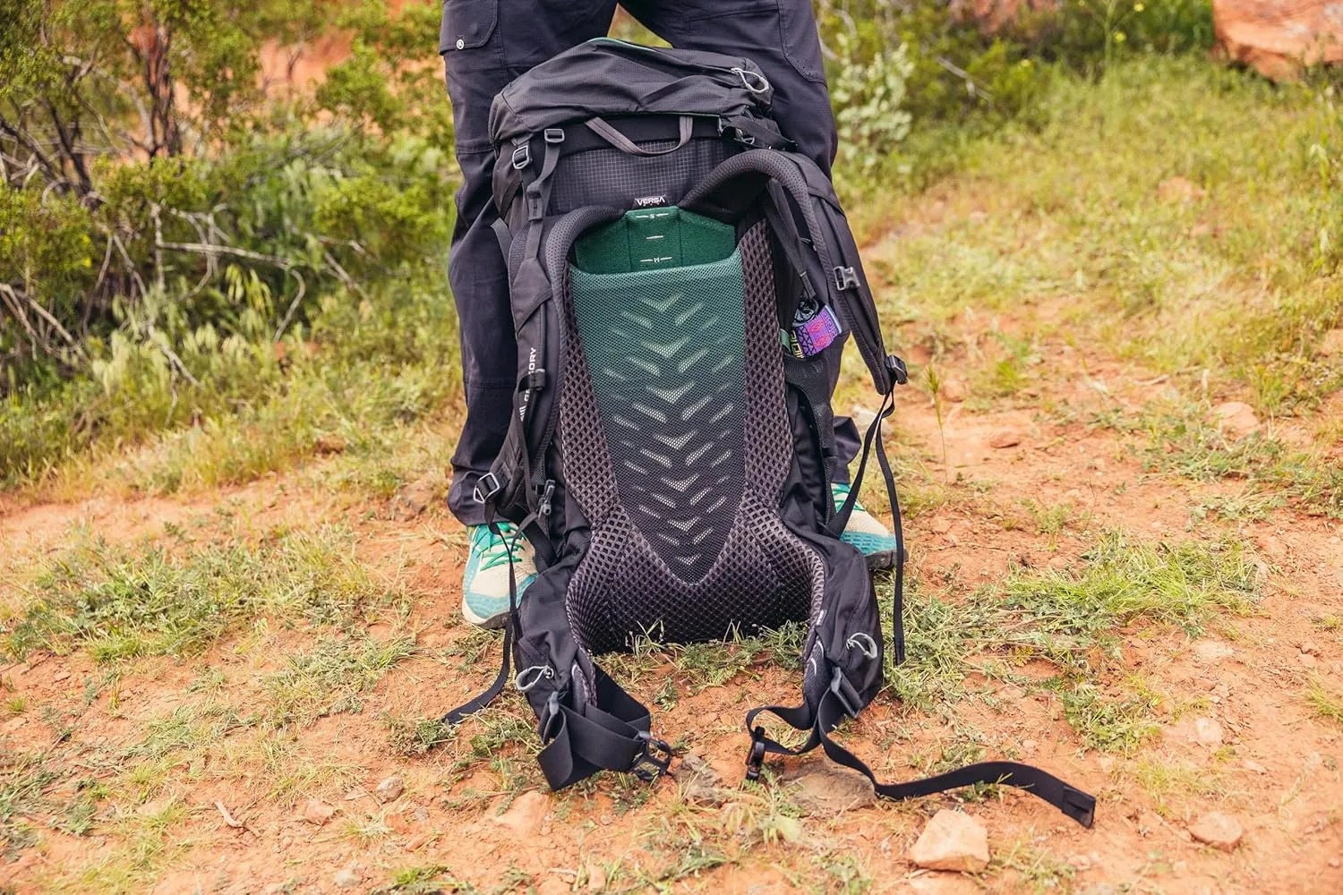 Gregory Stout 70L Unisex Backpacking Pack, Breathable Backpanel, Internal Hydration Sleeve for Water Reservoir (Bladder Not Included), One Size Fits All, Forest Black