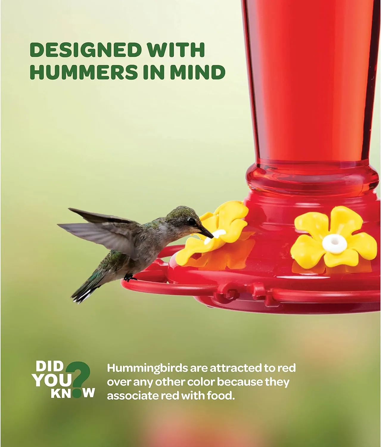 Hummingbird Feeder 10 oz [Set of 2] Plastic Feeders for Outdoors, with Built-in Ant Guard - Circular Perch with 5 Feeding Ports - Wide Mouth for Easy Filling/2 Part Base for Easy Cleaning
