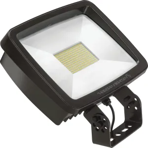 Lithonia Lighting TFX3 LED 40K MVOLT YK DDBXD Flood Luminaire Yoke Mounting Light, 18-Inch, Dark Bronze