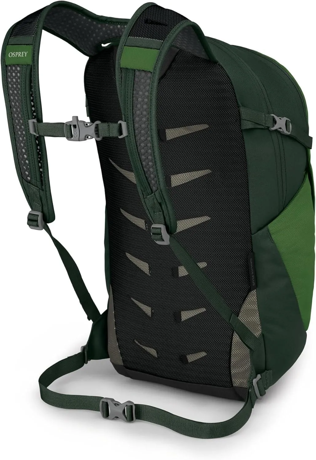 Osprey Daylite Plus Commuter Backpack, Green Belt/Green Canopy