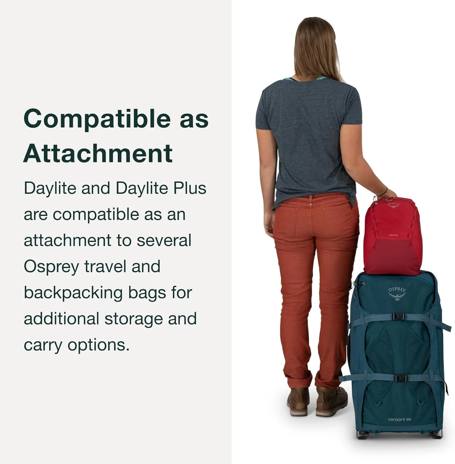 Osprey Daylite Plus Commuter Backpack, Green Belt/Green Canopy
