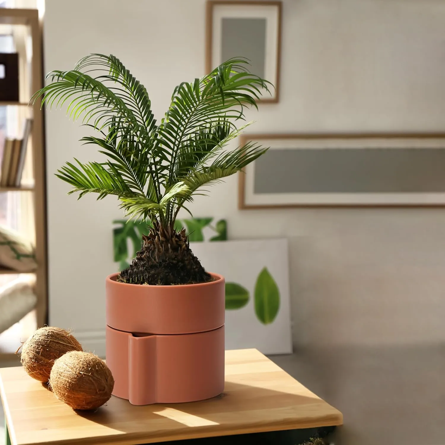 Phoenix Vine 6.5 Inch Self-Watering Planter Pot with Terracotta Insert, Deep Water Reservoir, and Ceramic-Alike BPA-Free Plastic Pot for Plant, Modern Planter for Houseplants, Terracotta, 53-A-S-3