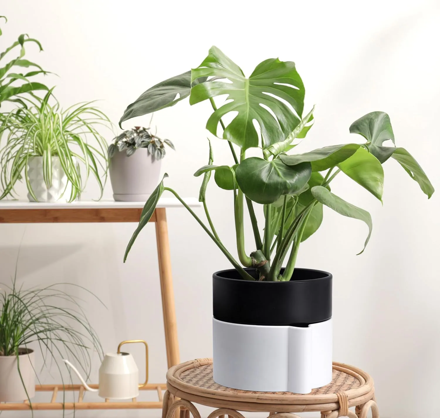 Phoenix Vine 6.5 Inch Self-Watering Planter Pot with Terracotta Insert, Deep Water Reservoir, and Ceramic-Alike BPA-Free Plastic Pot for Plant, Modern Planter for Houseplants, White/Black, 53-B-S-4