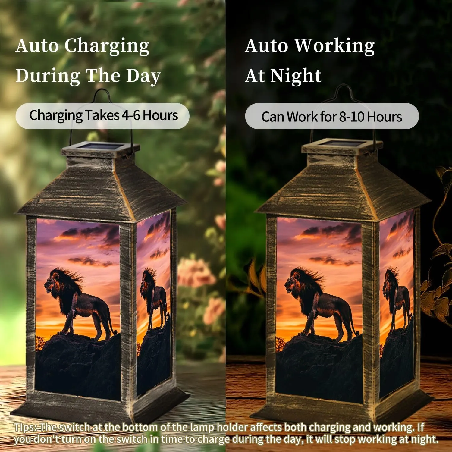 Solar Lantern Sunset Lion Silhouette Dramatic Wall Decor Outdoor Waterproof Garden Hanging Lantern Solar Powered Lighting Outside Table Lamp for Patio Deck Camping 1 Pack