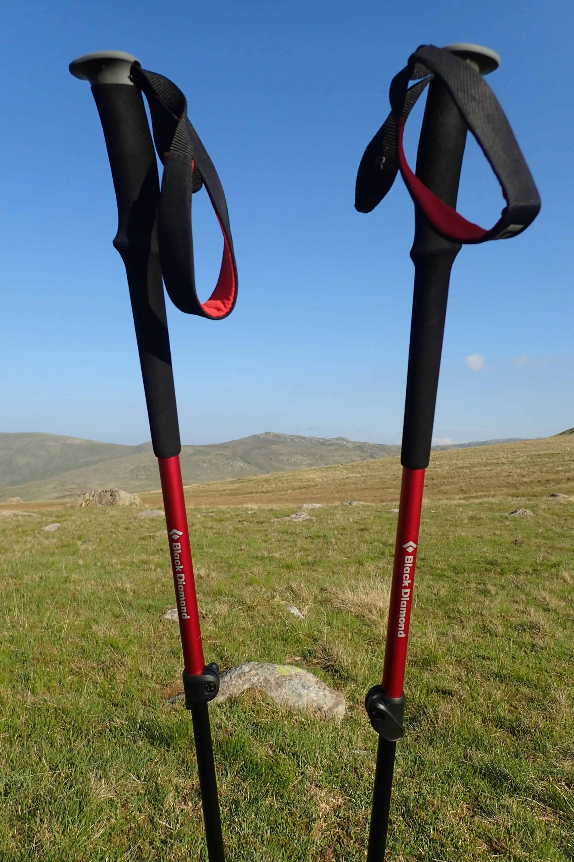 Trail Trekking Poles