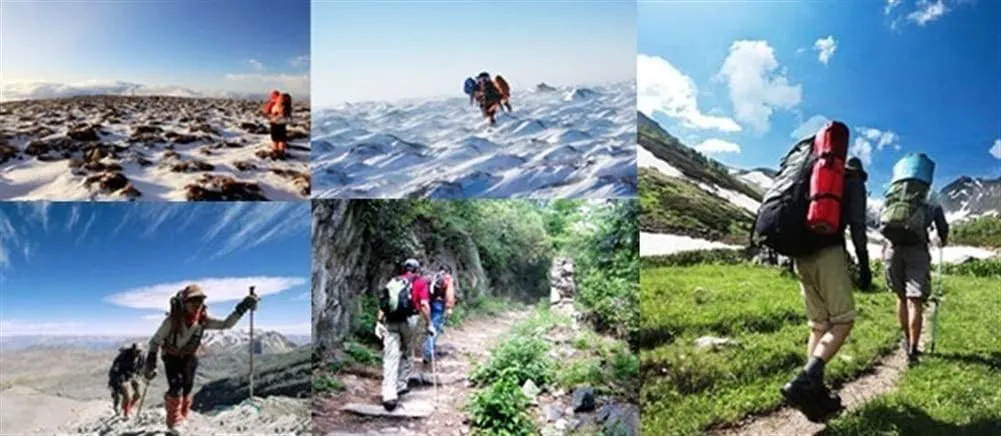 Trekking Pole, Hiking Trekking Poles, Lightweight, Anti Shock, Hiking or Walking Sticks, Adjustable Hiking Pole for Hiking, Camping, Climbing, Outdoor